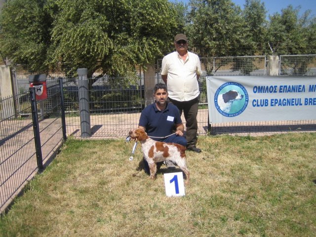 17th National Breed Show